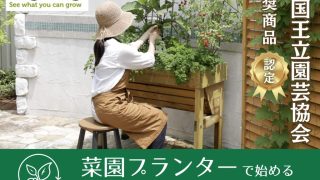 日系企業初！英国王立園芸協会認定の菜園プランター「ベジトラグ」で始めるサステナブルな暮らし | タカショーマガジン