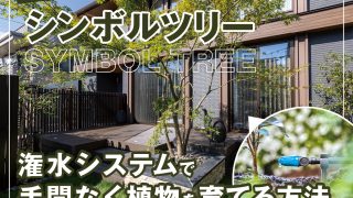 住まいが映える！おすすめシンボルツリー＆潅水システムで手間なく植物